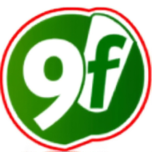 Logo da 9f